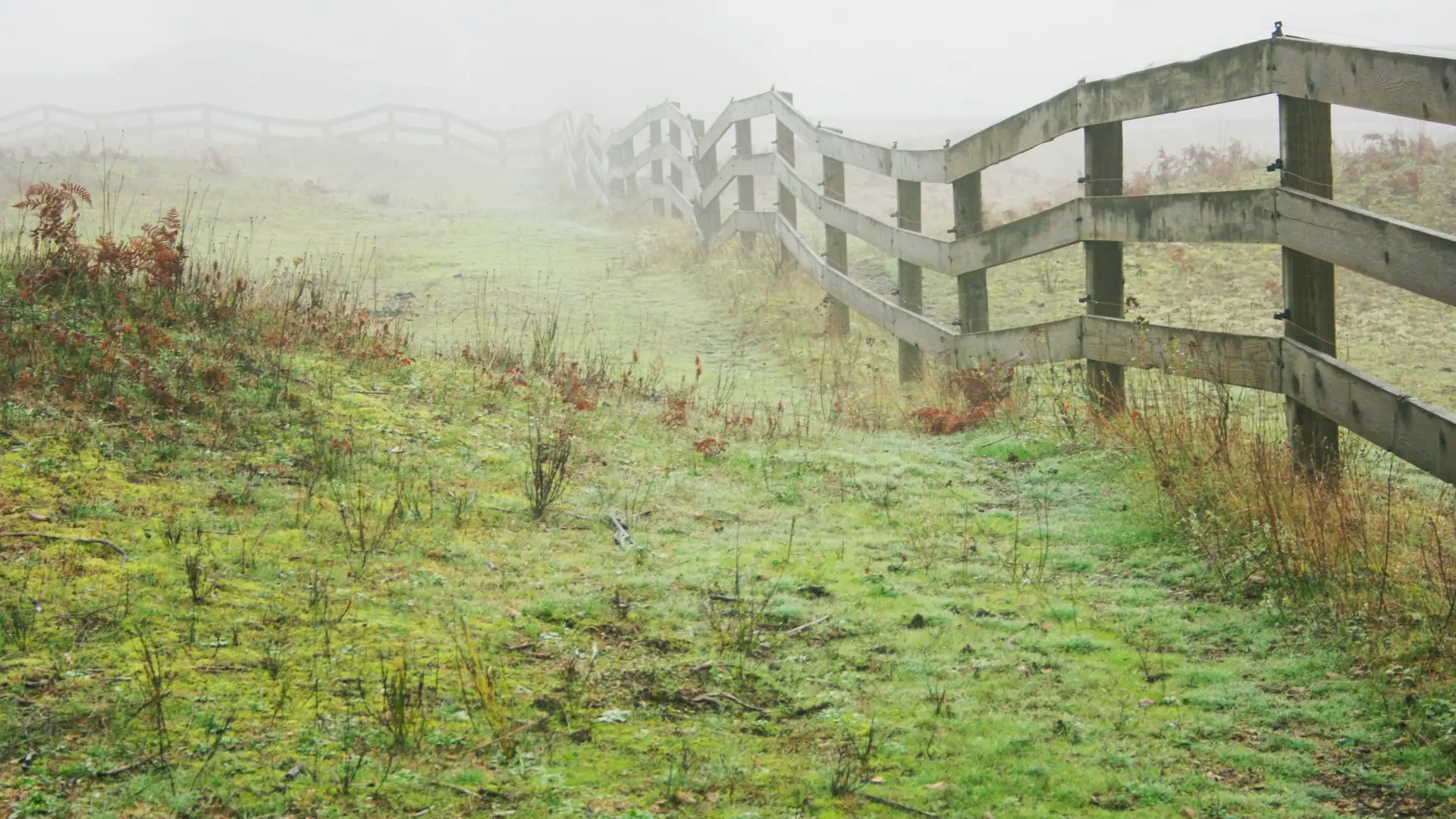 Alter Holzzaun im Nebel, der einer Weide folgt und dabei dem Gelaende auf und ab folgt.